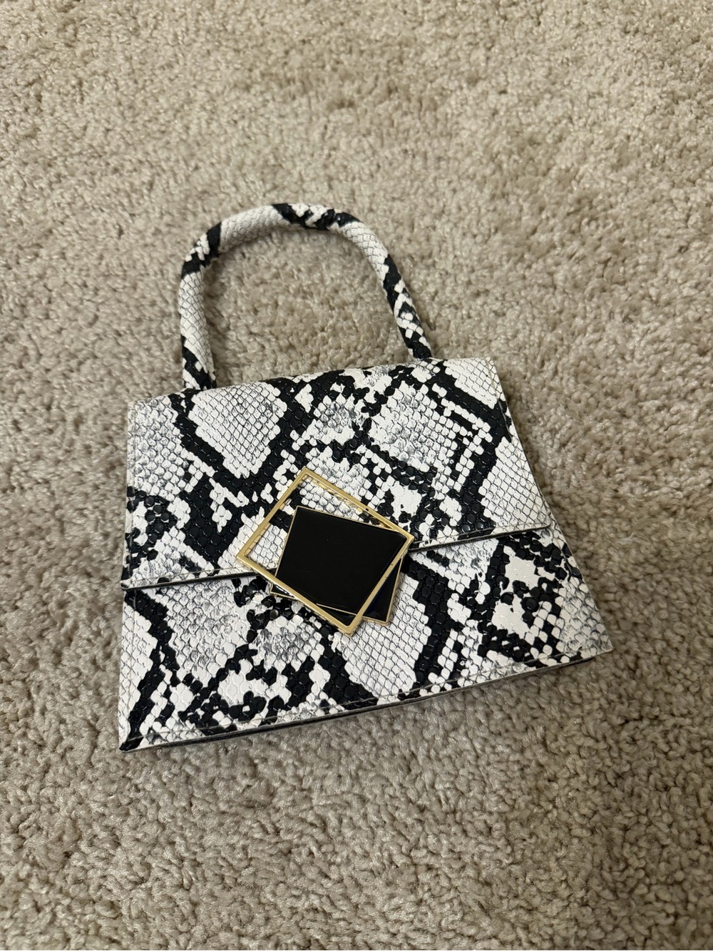 Snake Print Mini Purse with Gold Accent!
